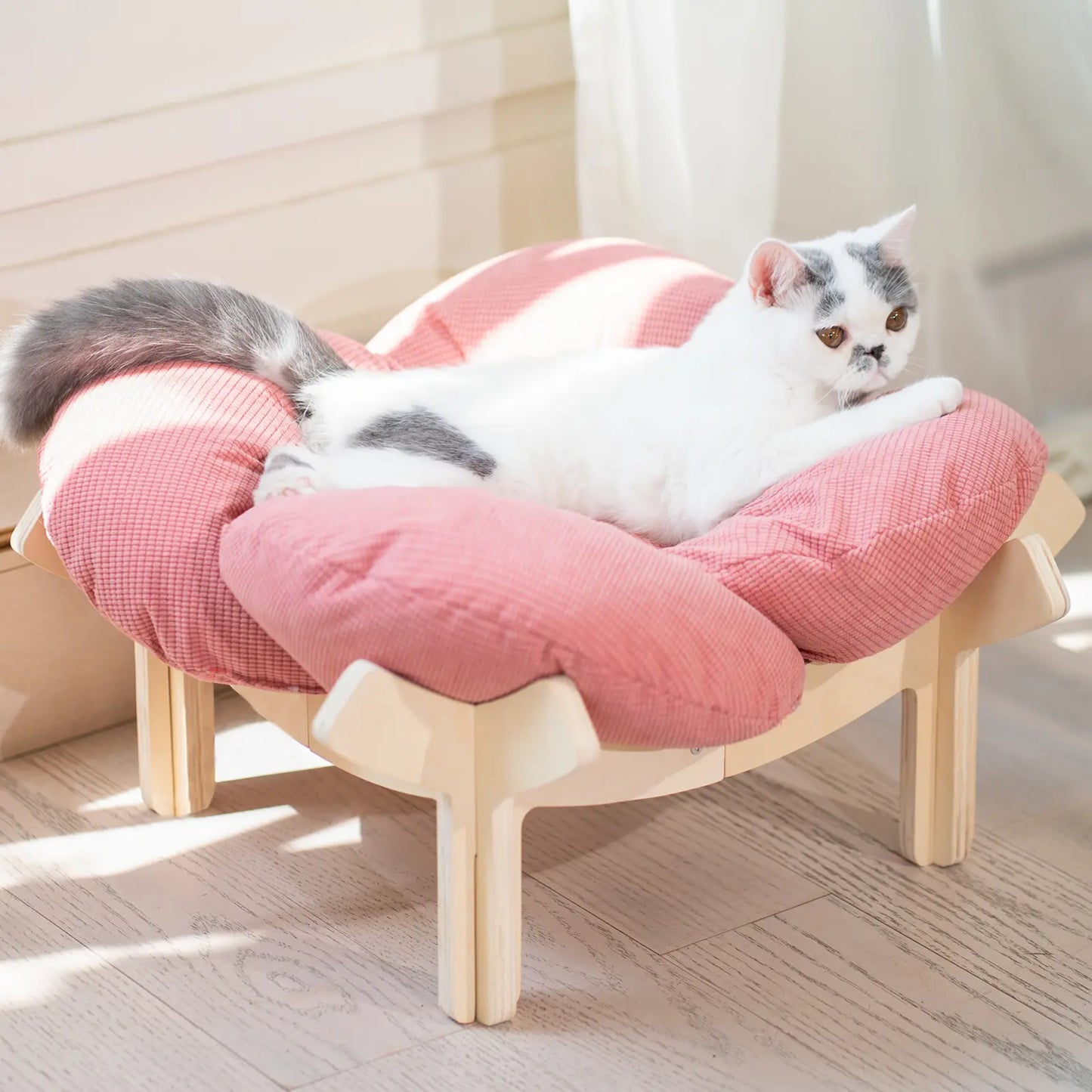 Elevated Flower Cat Bed,Wooden with Cushion, Fluffy Pet Couch Sofa for Indoor Cats and Dogs, Raised Kitty Lounge Chair, Suitable for Puppy, Cat Furniture(Large)