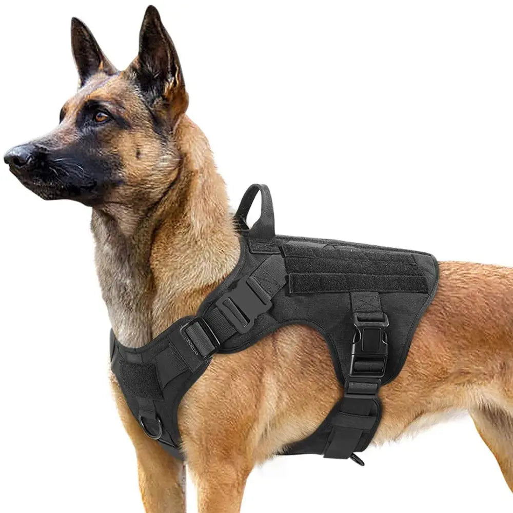 Heavy-Duty Tactical Dog Harness and Control Training Collar Set with Bungee Leash, No-Pull Military Vest for Walking, Hunting, and Training