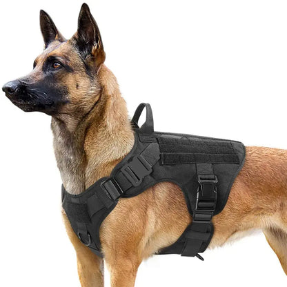 Heavy-Duty Tactical Dog Harness and Control Training Collar Set with Bungee Leash, No-Pull Military Vest for Walking, Hunting, and Training