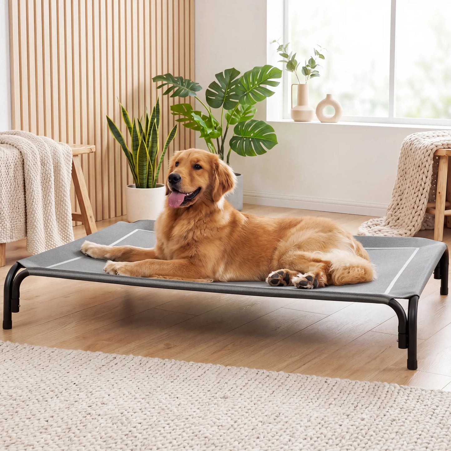 VALUXE Elevated Dog Bed for Large Dogs - Cooling Pet Cot with Breathable Mesh and Durable Frame, Easy to Clean Raised Pet Mat for Indoor and Outdoor Use