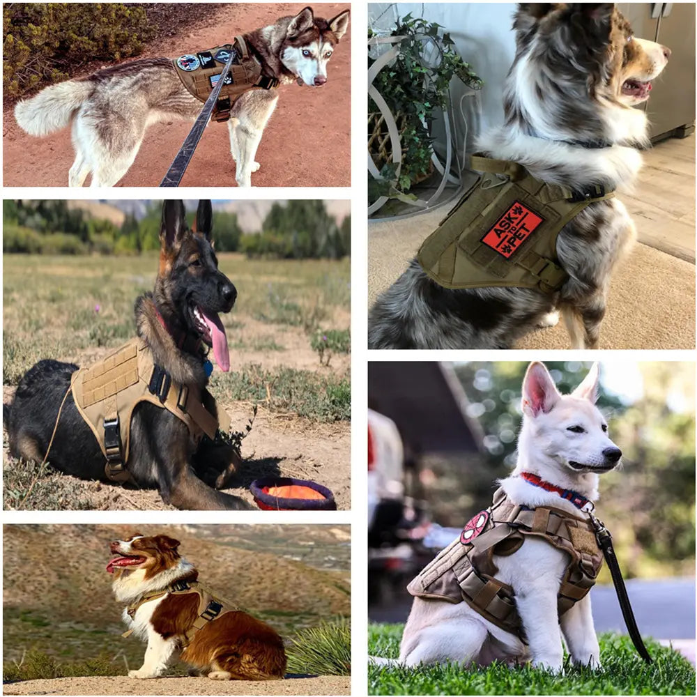 Heavy-Duty Tactical Dog Harness and Control Training Collar Set with Bungee Leash, No-Pull Military Vest for Walking, Hunting, and Training