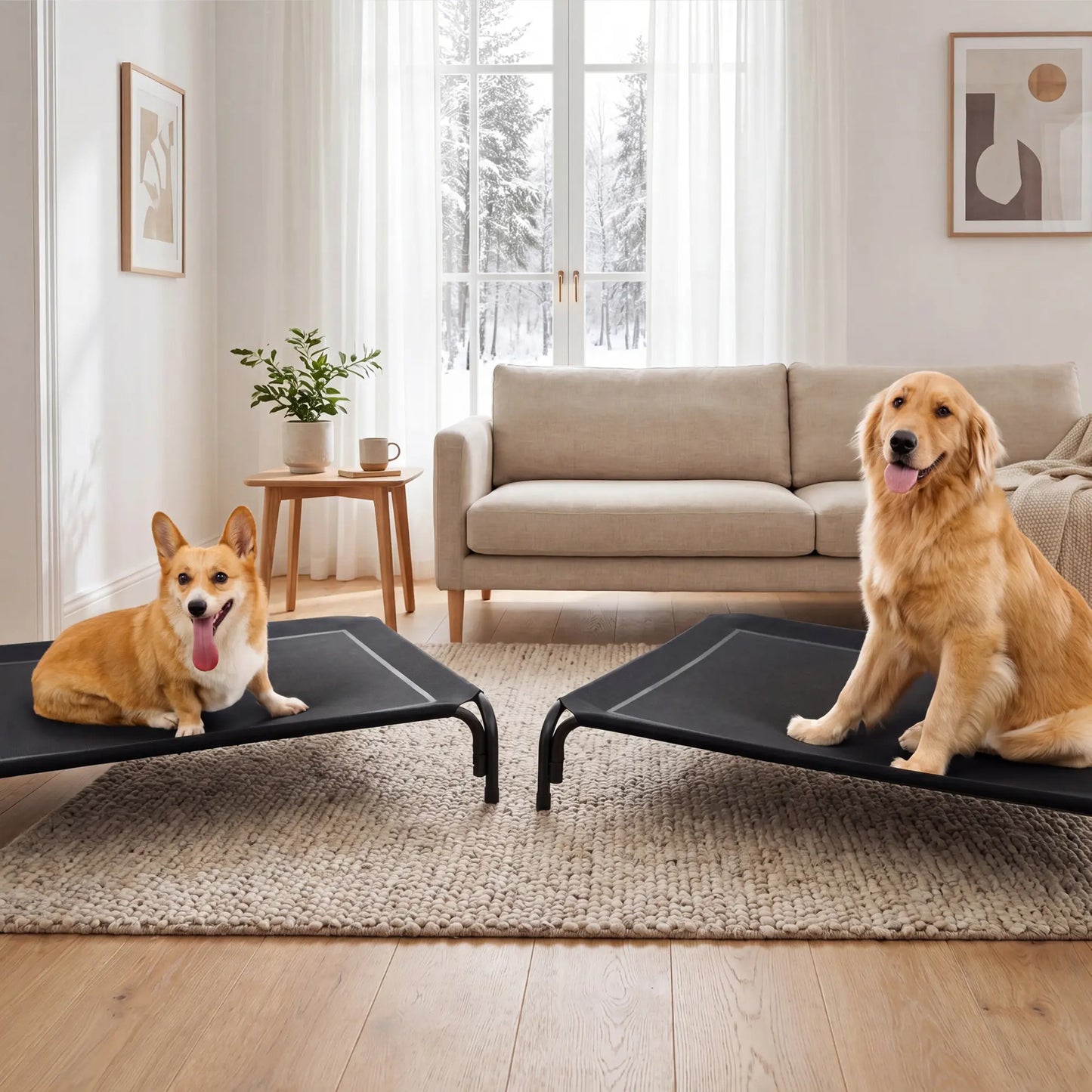 VALUXE Elevated Dog Bed for Large Dogs - Cooling Pet Cot with Breathable Mesh and Durable Frame, Easy to Clean Raised Pet Mat for Indoor and Outdoor Use