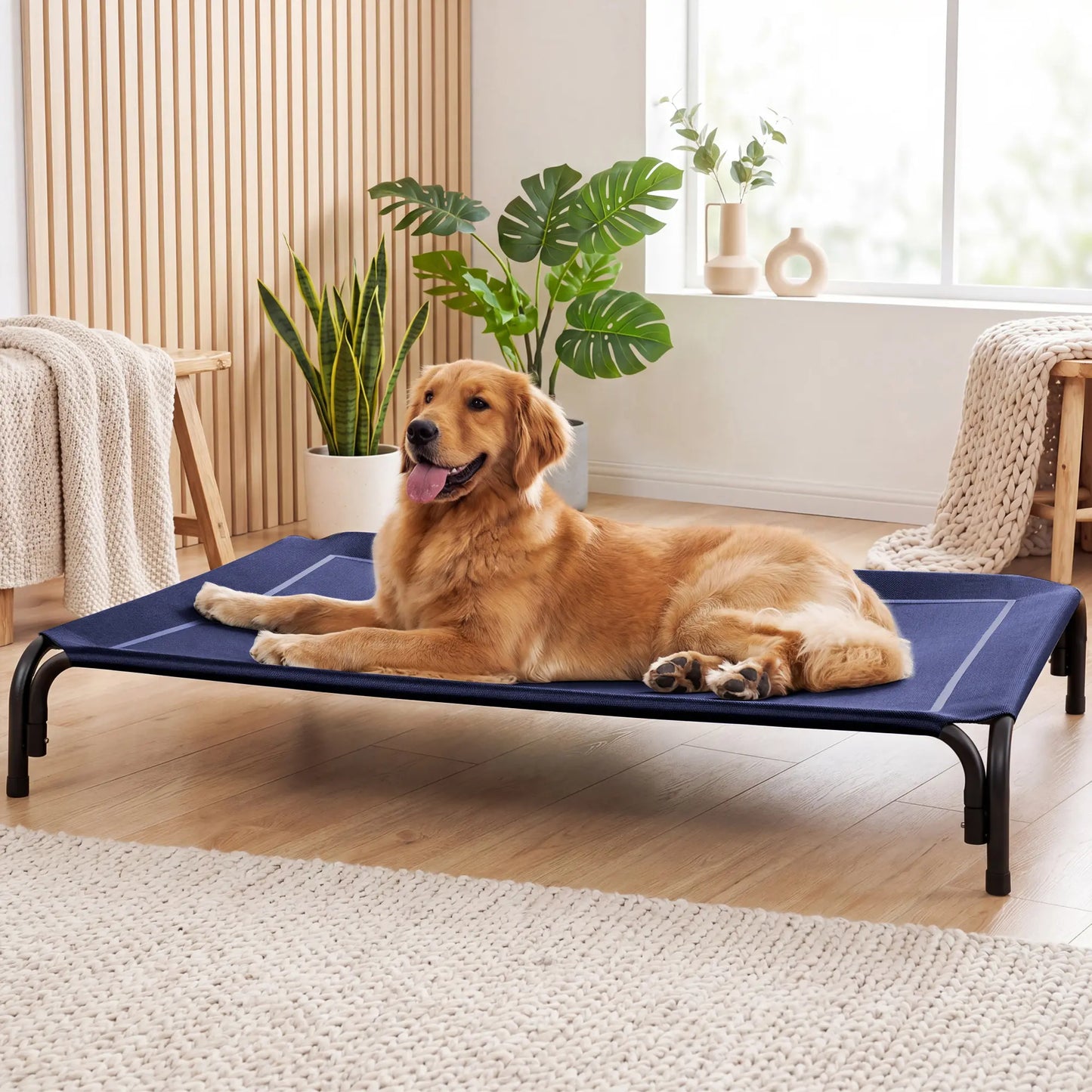 VALUXE Elevated Dog Bed for Large Dogs - Cooling Pet Cot with Breathable Mesh and Durable Frame, Easy to Clean Raised Pet Mat for Indoor and Outdoor Use
